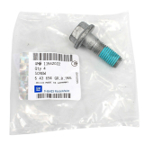 Schraube Bolzen Bremsträger vorne M14x1,75 42mm 11562022