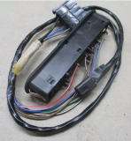 Schalter und Kabelbaum EFh Tür rechts