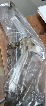 Wischergestänge vorne